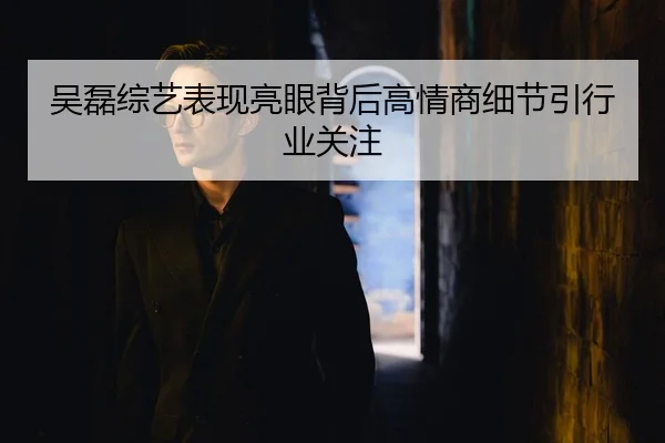 吴磊综艺表现亮眼背后高情商细节引行业关注